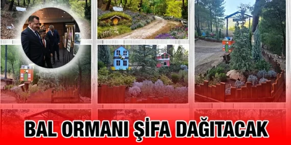 TÜRKİYE’NİN EN BÜYÜK BAL ORMANI KAZDAĞLARI’NDA