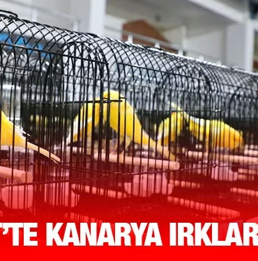 edremit_kriter_haber