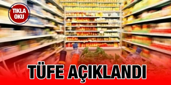 Tüketici Fiyat Endeksi