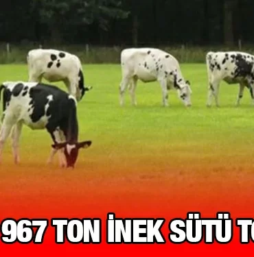 tuik_kriter_haber