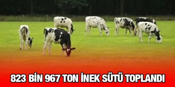 SÜT VE SÜT ÜRÜNLERİ ÜRETİMİ