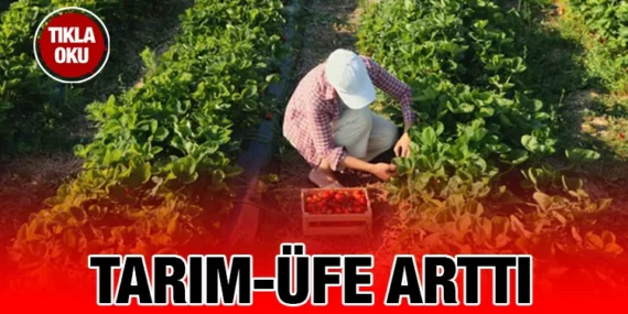 TARIM ÜRÜNLERİ ÜRETİCİ FİYAT ENDEKSİ