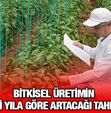 tuik_kriter_haber