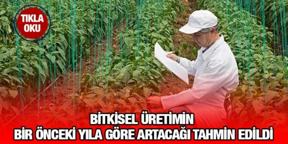 BİTKİSEL ÜRETİM 2.TAHMİNİ