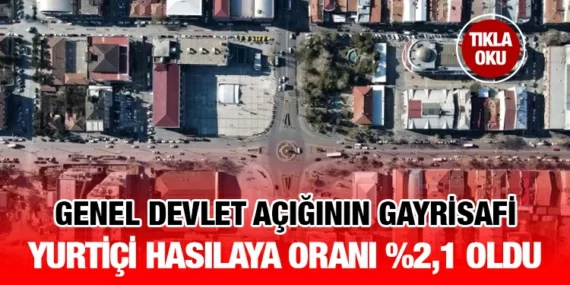 DEVLET HESAPLARI