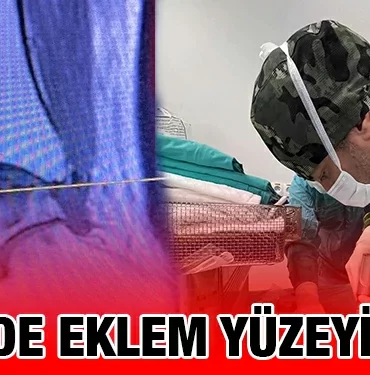 baun_kriter_haber