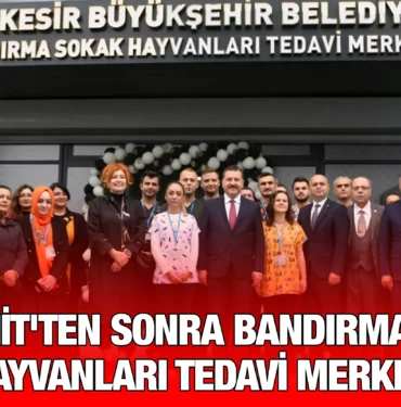 edremitten_sonra_bandirmaya_da_sokak_hayvanlari_tedavi_merkezi_acildi_kriter_haber