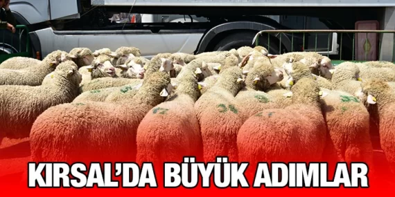 BÜYÜKŞEHİR BELEDİYESİ’NDEN TARIMA GÜÇLÜ DESTEK