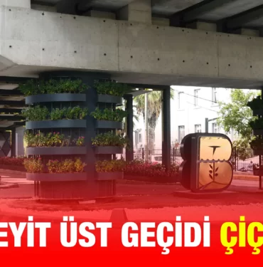 kocaseyit_ust_gecidi_cicek_gibi_kriter_haber