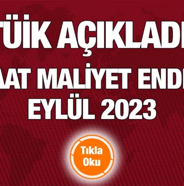 tuik_acikladi_insaat_analiz_kriter_haber