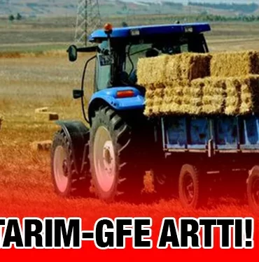 tuik_kriter_haber