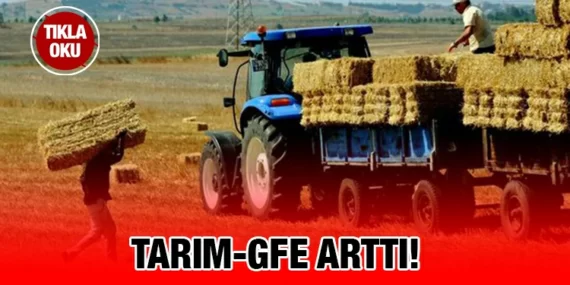 TARIMSAL GİRDİ FİYAT ENDEKSİ
