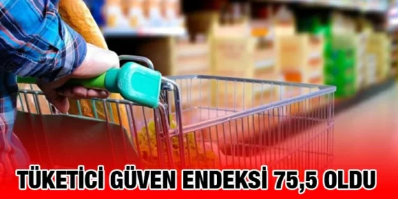 TÜKETİCİ GÜVEN ENDEKSİ