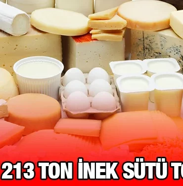 tuik_kriter_haber