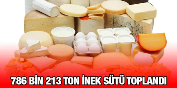 SÜT VE SÜT ÜRÜNLERİ ÜRETİMİ