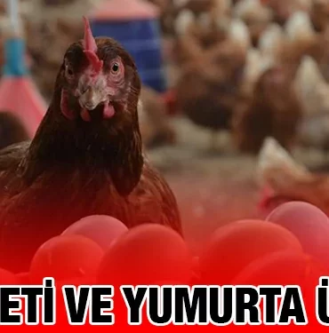 tuik_kriter_haber