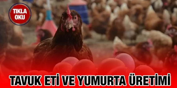 KÜMES HAYVANCILIĞI ÜRETİMİ İSTATİSTİKLERİ