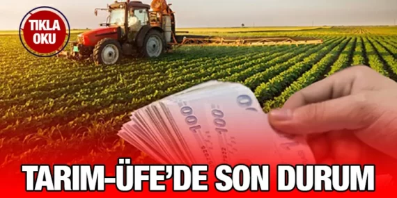 TARIM ÜRÜNLERİ ÜRETİCİ FİYAT ENDEKSİ