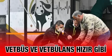 vet_kriter_haber