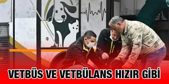 KEPSUT’TA CAN DOSTLARIMIZ ASLA YALNIZ DEĞİL