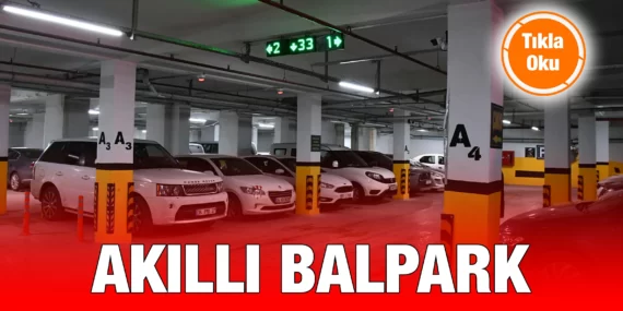 AKILLI BALPARK