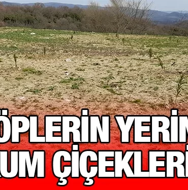 bbb_kriter_haber