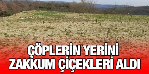 GÖMEÇ’TE ÇÖP SORUNU ÇÖZÜLDÜ