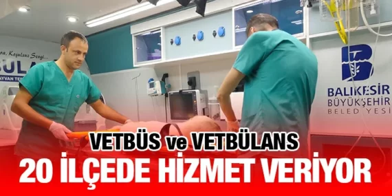 BALIKESİR BÜYÜKŞEHİR BELEDİYESİ, SOKAK HAYVANLARINA UMUT OLUYOR!