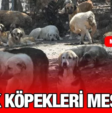 mp_kriter_haber