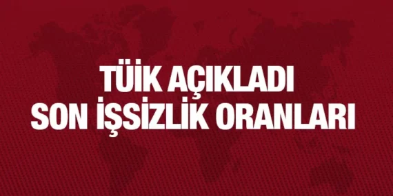 İŞGÜCÜ İSTATİSTİKLERİ