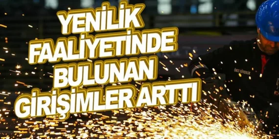 YENİLİK ARAŞTIRMASI İSTATİSTİKLERİ