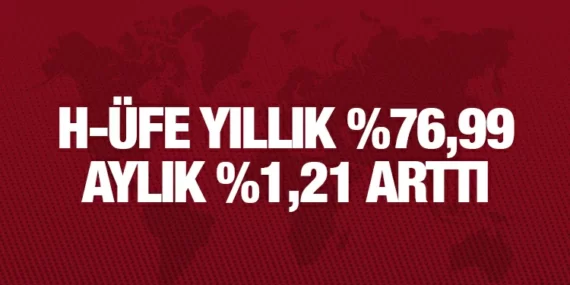 HİZMET ÜRETİCİ FİYAT ENDEKSİ