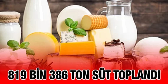 SÜT VE SÜT ÜRÜNLERİ ÜRETİMİ