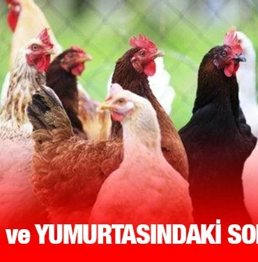 tuik_kriter_haber