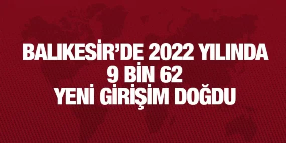 GİRŞİMCİLİK VE İŞ DEMOGRAFİSİ
