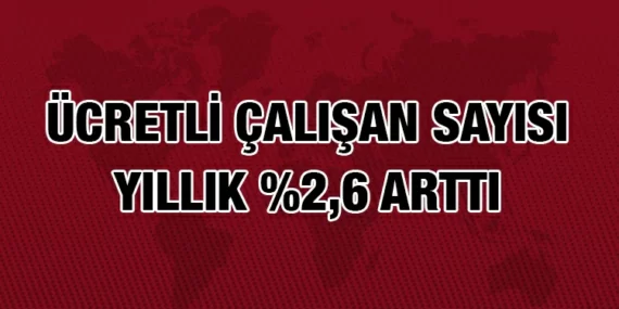 ÜCRETLİ ÇALIŞAN İSTATİSTİKLERİ