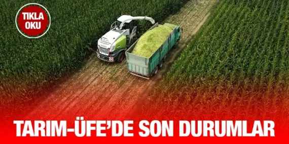 TARIM ÜRÜNLERİ ÜRETİCİ FİYAT ENDEKSİ
