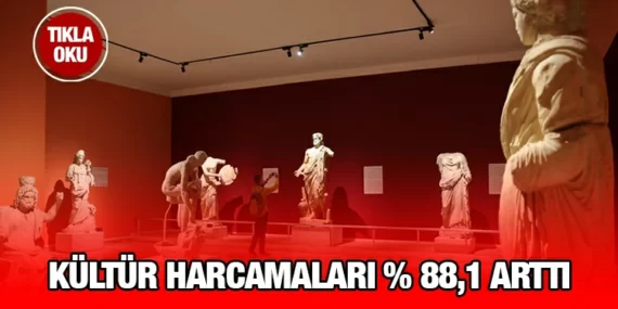 KÜLTÜR EKONOMİSİ İSTATİSTİKLERİ