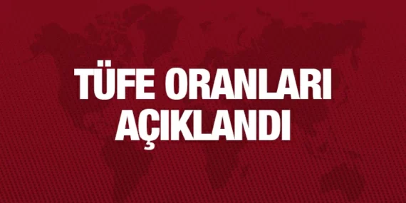 TÜKETİCİ FİYAT ENDEKSİ