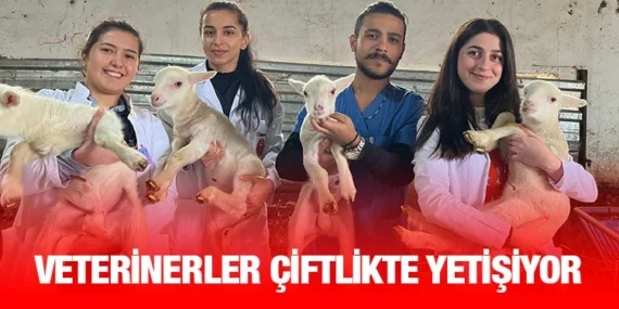 BAÜN FARKLI