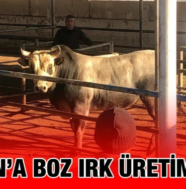 bbb_kriter_haber