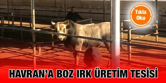 BÜYÜKŞEHİR HAVRAN’A BOZ IRK ÜRETİM TESİSİ KURACAK