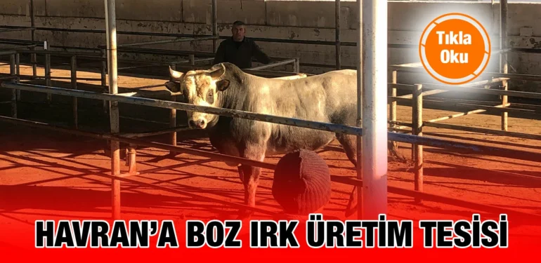 bbb_kriter_haber