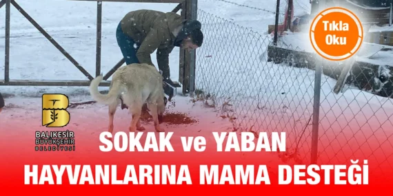 BÜYÜKŞEHİR’İN ŞEFKATLİ VE ŞİFALI ELLERİ CANLARIN YANINDA