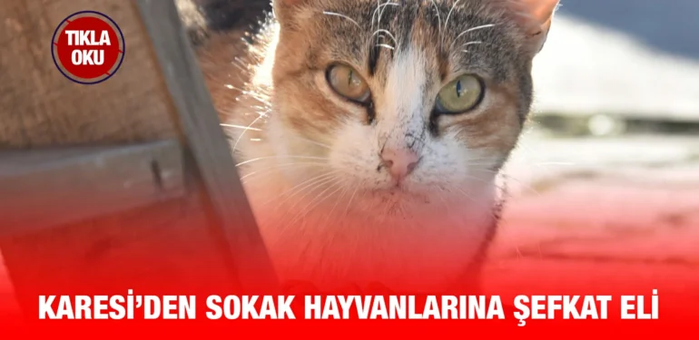 karesi_kriter_haber