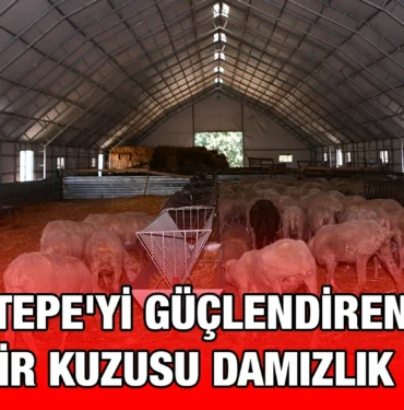 savastepe_kriter_haber
