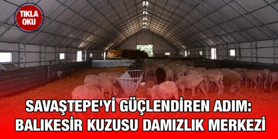 SAVAŞTEPE’YE BALIKESİR KUZUSU GÜCÜ