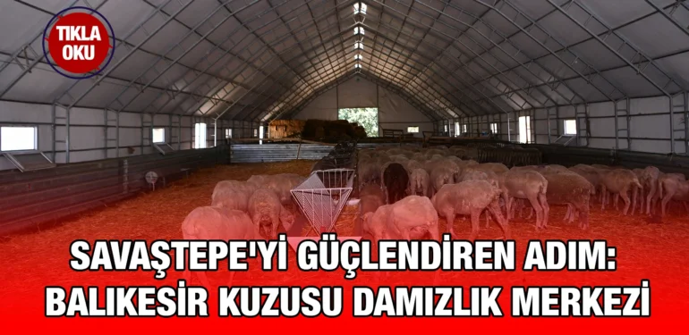 savastepe_kriter_haber
