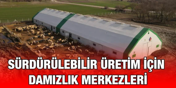 SINDIRGI’YA BALIKESİR KUZUSU GÜCÜ!