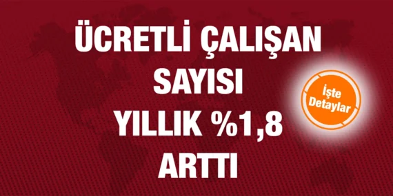 ÜCRETLİ ÇALIŞAN İSTATİSTİKLERİ